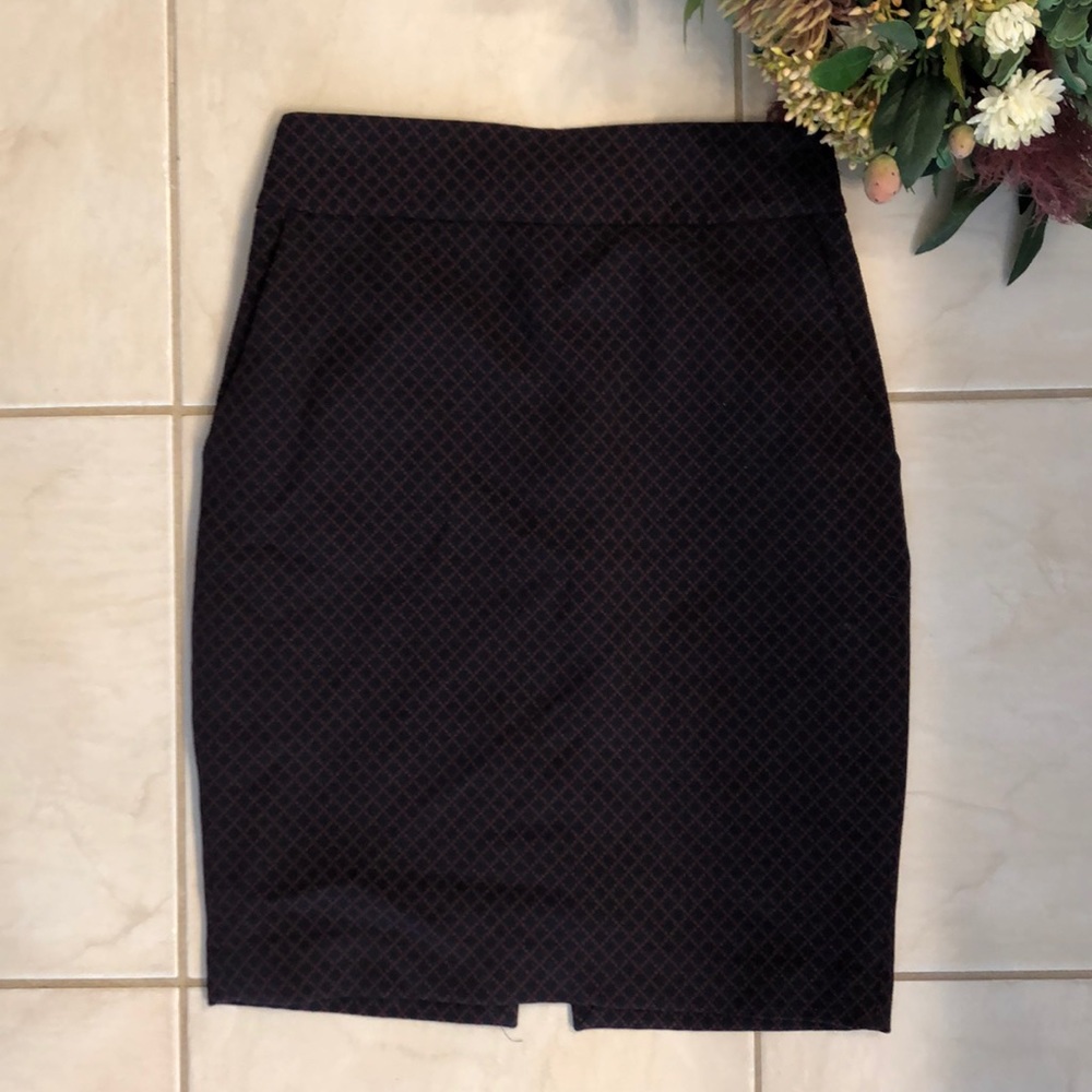 Express Pencil Skirt